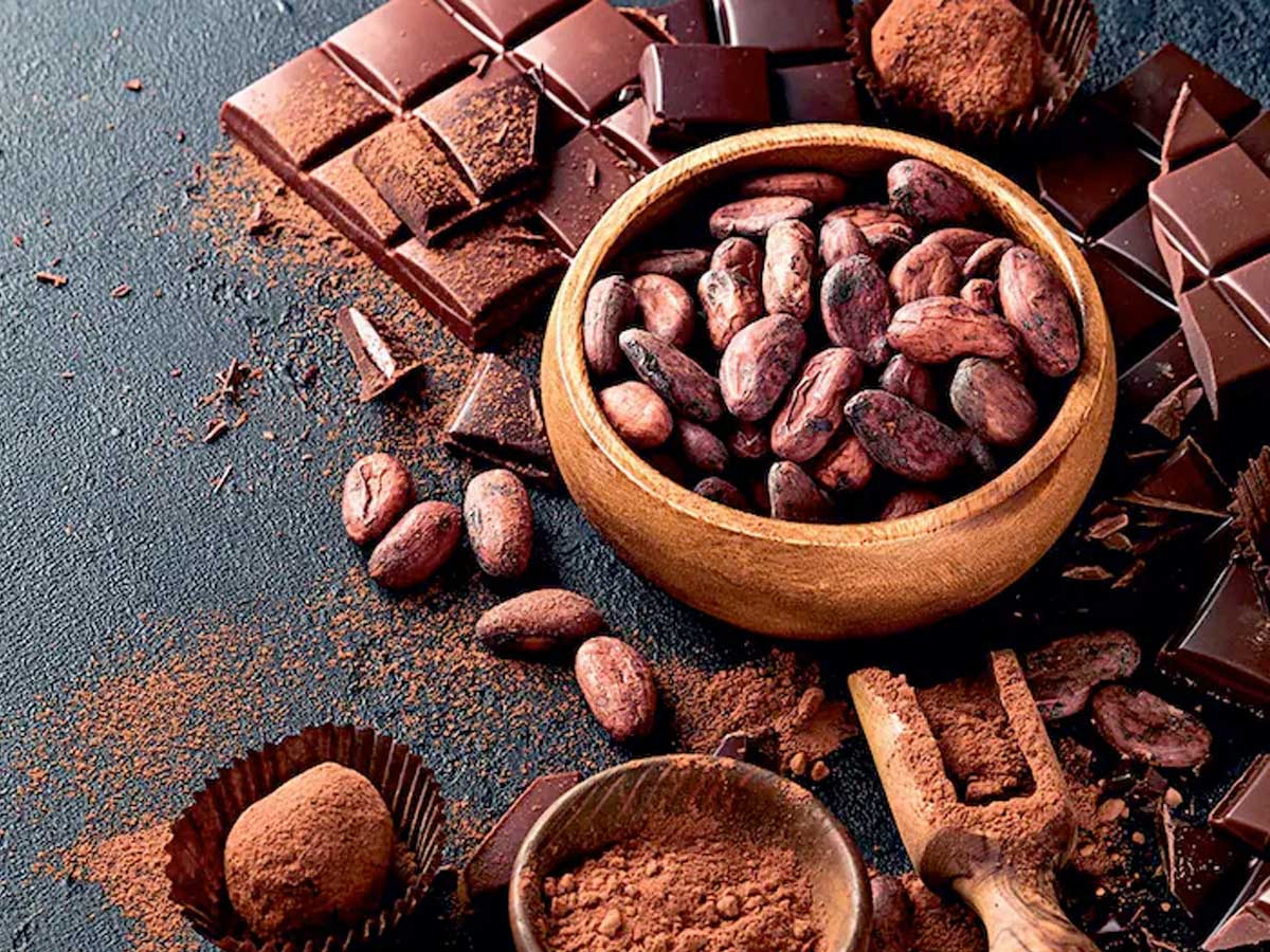 Faites Plaisir à Vos Sens : Découvrez la Décadence des Chocolats Petega